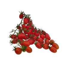 Pomodoro datterino - Vendita ortaggi sicilia - MediVegetalFruit.com