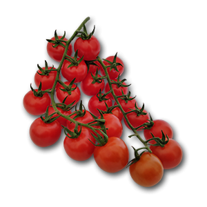 Pomodori - Medivegetalfruit